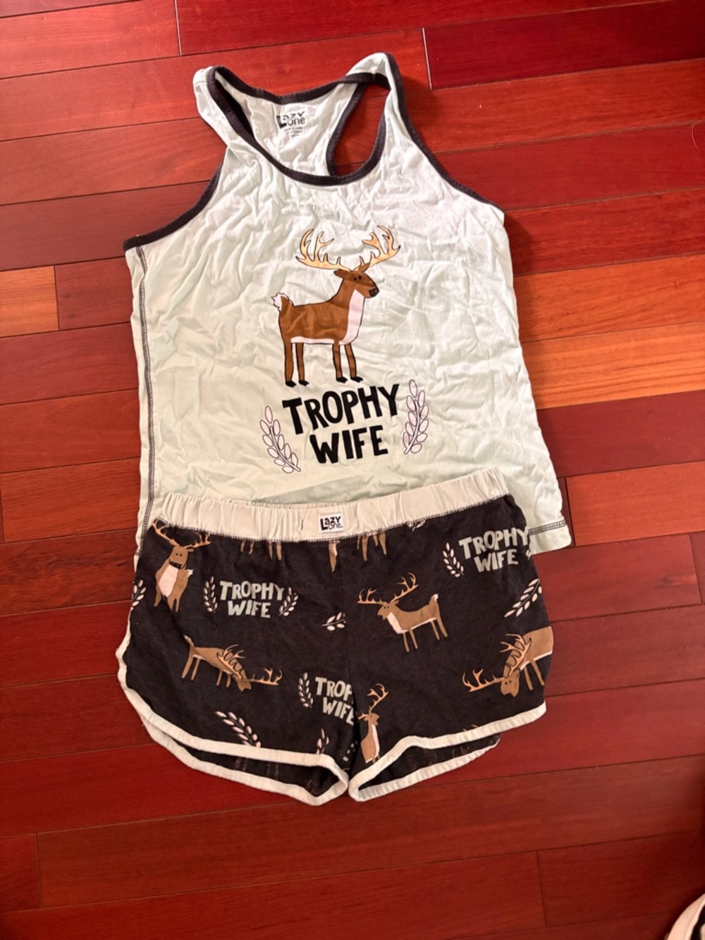 Lazy One Women's Mint and Brown 'Trophy Wife' Tank & Short Sleep Set